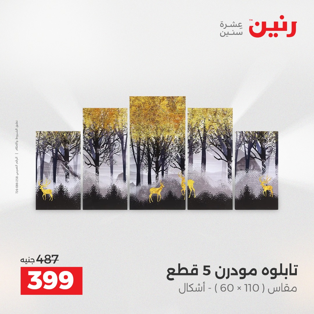 raneen offers from 23dec to 24dec 2025 عروض رنين من 23 ديسمبر حتى 24 ديسمبر 2025 صفحة رقم 5